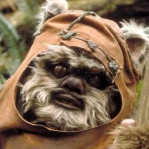 Meet your Posher, Gus